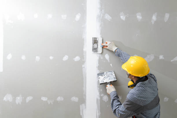 Best Attic Mold Removal  in Rosendale, WI