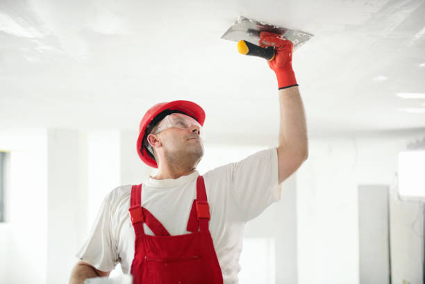 Best Water Damage & Mold Remediation  in Rosendale, WI