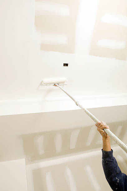 Best Industrial Mold Remediation  in Rosendale, WI