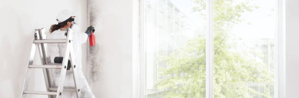 Best Industrial Mold Remediation  in Rosendale, WI