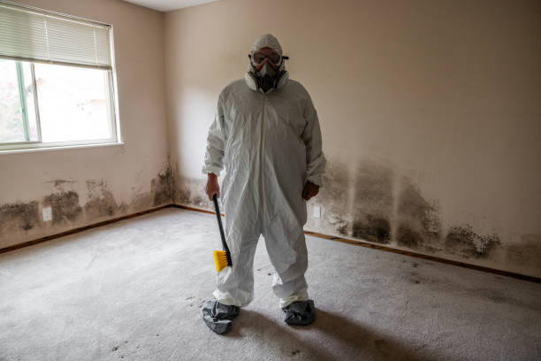 Best Crawl Space Mold Remediation  in Rosendale, WI