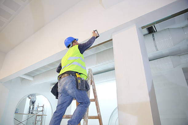 Best Air Quality Testing for Mold Spores  in Rosendale, WI