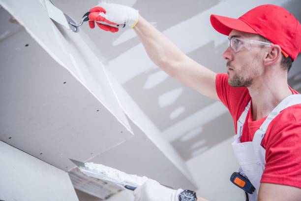 Reliable Rosendale, WI Mold Removal Solutions